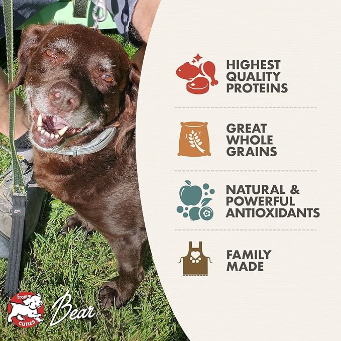 Fromm Classic Adult Dog Food - Premium Dry Dog Food for Large, Medium, & Small Breeds - Chicken Recipe - 5 lb