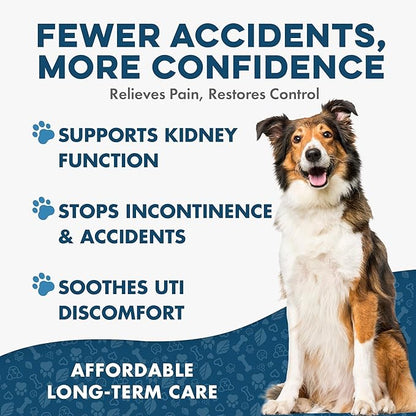Dog UTI Treatment & Kidney Health Formula – Natural Dog Urinary Tract Supplements to Manage Urine Frequency & Leaks – Bladder Control Support for Urinary Incontinence & Renal Health – 400 Tiny Pills