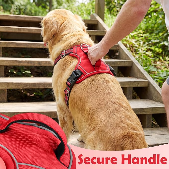 Funfox Dog Harness No Pull, Adjustable Pet Vest Harness, Super Soft Material with Vertical Handle Easy Control, Reflective Night Walking, 2 Leash Clips for Small Sized Dogs, Red, S