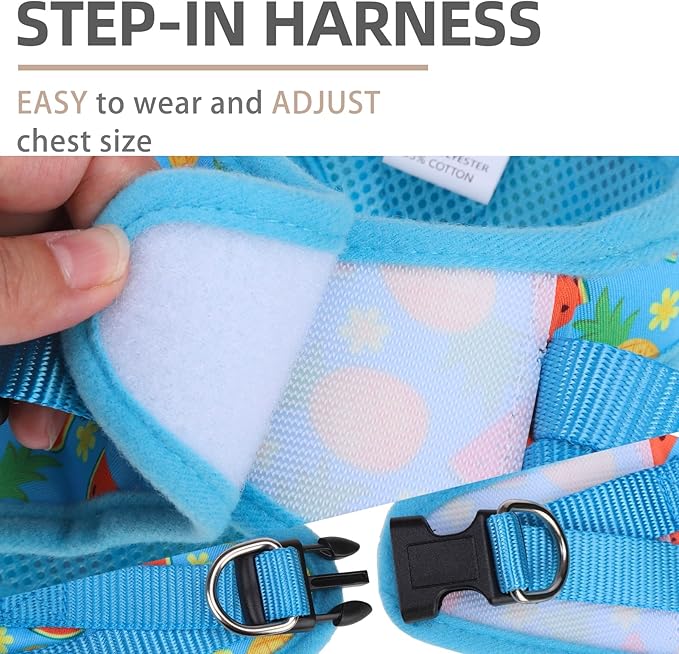 PUPTECK Adjustable Dog Harness Collar and Leash Set Step in No Pull Pet Harness for Small Medium Dogs Puppy and Cats Outdoor Walking Running, Soft Mesh Padded Reflective Vest Harnesses, Sky Blue S