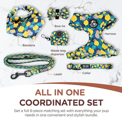 No Pull Harness and Leash Set - 6-in-1 Adjustable Vest Harness and Collars for Medium and Large Dogs. (Lemon, Extra Small)