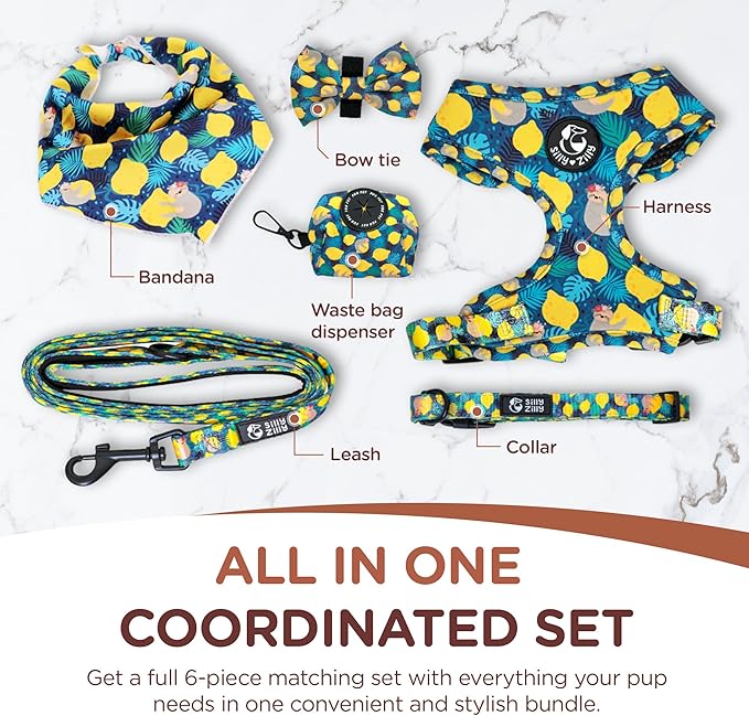 No Pull Harness and Leash Set - 6-in-1 Adjustable Vest Harness and Collars for Medium and Large Dogs. (Lemon, Medium)