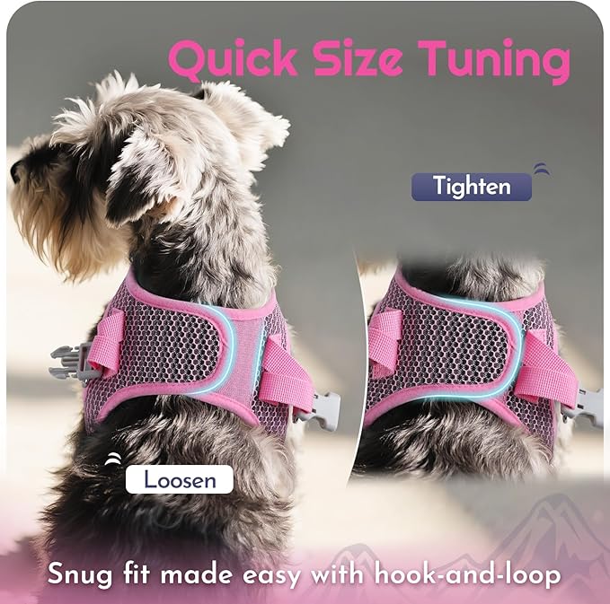 Eagloo Small Dog Harness and Leash Set, Step in Puppy Vest with Breathable Soft Mesh, Walking Reflective Pet Harness for Small Dogs, Pink, S