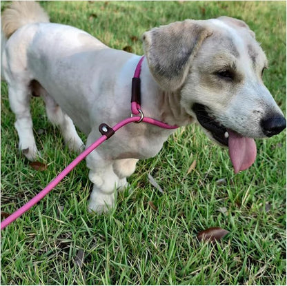 MayPaw Slip Lead Control Leash for Dogs No Pull, 13+ Colors Classic Dog Lead 7FT Pet Slip Leash, 1/4” Rope Leashes for Small Medium Animals (7ft*1/4", Rose red)