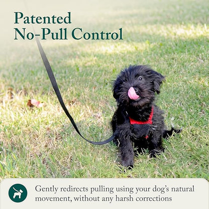 Sporn No Pull Dog Harness, Durable Nylon Mesh Harness for Small Dogs, No Choke Design, Padded Restraint Sleeves, Adjustable Fit, Easy On/Off, Ideal for Small Breeds, Red