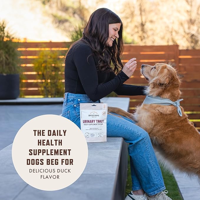 Rocco and Roxie Dog UTI Treatment, Cranberry Supplement for Dogs, Bladder Control, Urinary Tract Support with D-Mannose and Tart Cherry, Incontinence Health Supplements, Dog Treat Soft Chews 60 ct