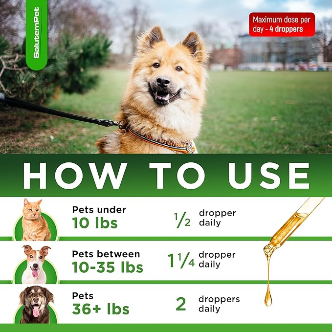 Dog Antibiotics Forte Health | Antibiotics for Cats | Herbal Supplement for All Breeds | for Easy Breathing | Digestion and Urination | Skin & Coat | Chicken Flavor | 2 Oz