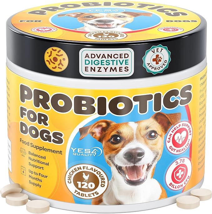 Dog Probiotics - Prebiotic & Probiotic Chews for Dogs - May Support Immunity, Digestive & Gut Health, Diarrhea, Flatulence Relief & Upset Stomach - 120 Chicken Flavored Tablets
