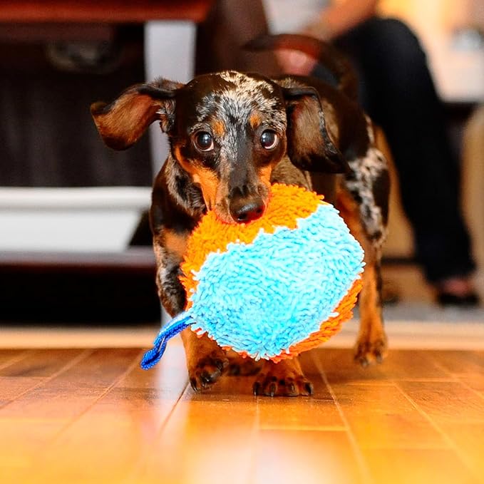 Chuckit! Indoor Fetch Shaker for Dogs - Interactive Dog Toys for Boredom, 7.75 Inch, Orange and Blue