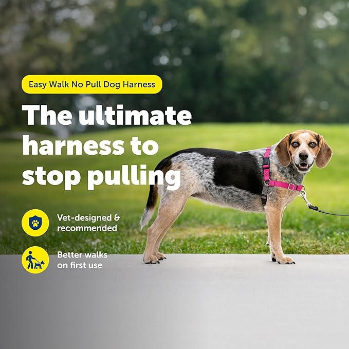 PetSafe Easy Walk Harness for Dogs - Pull-Free Walks - Martingale Loop Design - Front Chest Leash Attachment - Adjustable Comfort Straps - Breathable Harness Design - Small/Medium, Raspberry/Gray
