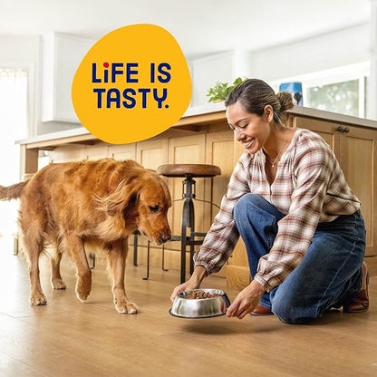 Kibbles 'n Bits Original Dry Dog Food, Savory Beef & Chicken Flavors for Adult Dogs, 16 lb. Bag