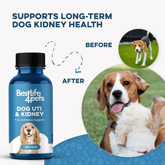 Dog UTI Treatment, Bladder & Kidney Support, Natural Incontinence and Bladder Control for Dogs Reduces Urinary Tract Infections and Dog Allergy Relief & Immune Support, Natural Holistic Itch Relief