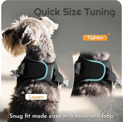 Eagloo Small Dog Harness and Leash Set, Step in Puppy Vest with Breathable Soft Mesh, Walking Reflective Pet Harness for Small Dogs, Black, XS