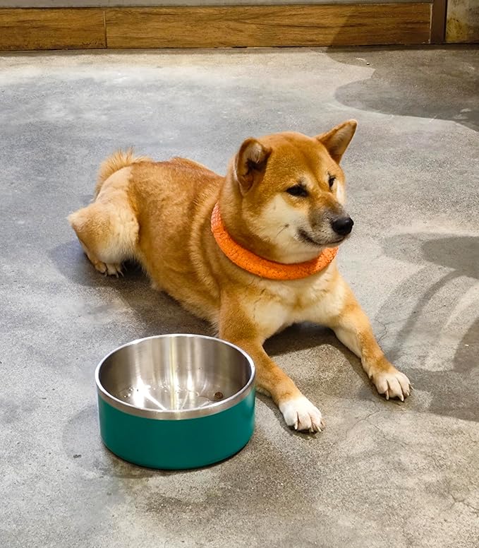 WENBOKMIN Dog Bowl, Stainless Steel Dog Food and Water Bowl with Non Slip Quiet Bottom, Easy to Clean, Dishwasher Safe, 40oz, Deep Green
