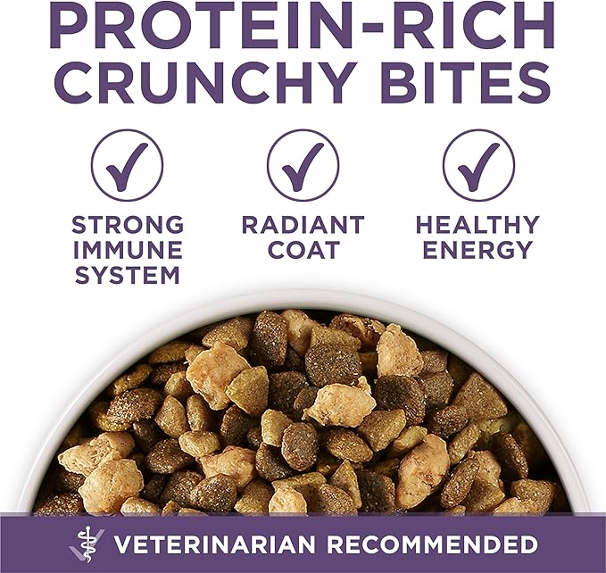 Purina ONE High Protein Dry Senior Dog Food Plus Vibrant Maturity Adult 7 Plus Formula - (Pack of 4) 4 lb. Bags