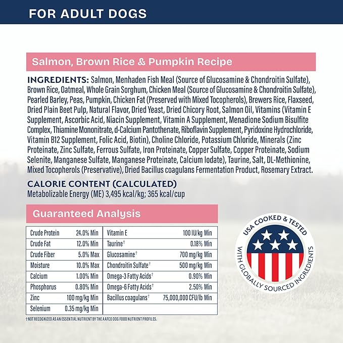 Natural Balance Health Protection Dry Dog Food – Whole Body Health, Easy on Digestion Dog Food Made with Salmon, Brown Rice & Pumpkin for Dogs - 22lbs.