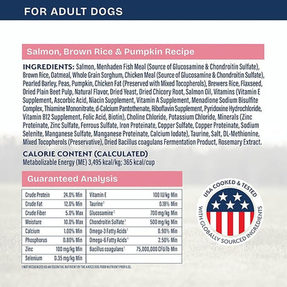 Natural Balance Health Protection Dry Dog Food – Whole Body Health, Easy on Digestion Dog Food Made with Salmon, Brown Rice & Pumpkin for Dogs - 22lbs.