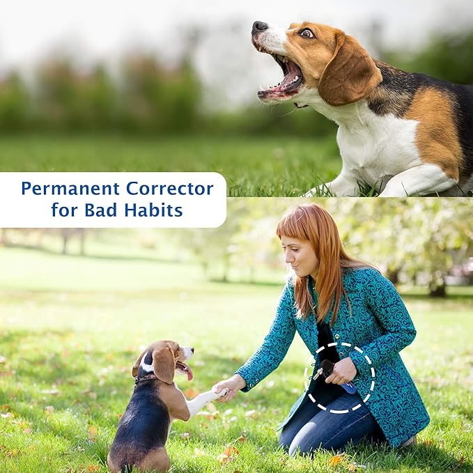 Canine Innvoations Pet Convincer Air Dog Training Deterrent Control Device Includes 7 cartridges