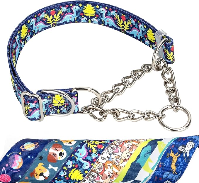 Martingale Dog Collar - Adjustable Anti-Pull Training Collar with Safe Choke Chain Design,Dinosaur Pattern for Medium,Large & XL Dogs (Dinosaur XL)