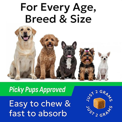 Bark&Spark Dog Probiotics & Digestive Enzymes (Gut Health) Allergy & Itchy Skin - Pet Diarrhea Gas Treatment Upset Stomach Relief, Digestion Health Prebiotic Supplement Tummy Treat (180Ct Chicken)