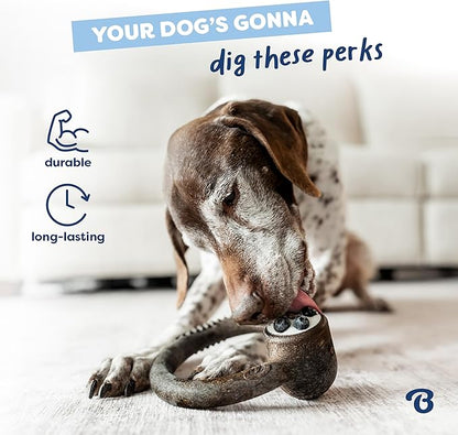 Benebone Ring Durable Dog Chew Toy for Aggressive Chewers – Limited Edition Blueberry Flavor, Large
