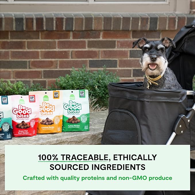 Open Farm, Be Good Bites, Soft Dog Training Treats, Small & Chewy, Made with Ethically & Sustainably Sourced Ingredients, Non-GMO Fruits & Grains, Turkey Recipe, 6oz Pouch