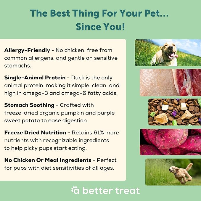 A Better Treat | Allergy Friendly Duck Dry Dog Food | Raw You Can See | No Chicken, Duck Only Animal Protein, No Meal Ingredients, Grain Free | Stomach Soothing Kibble + Freeze Dried Raw Dog Food