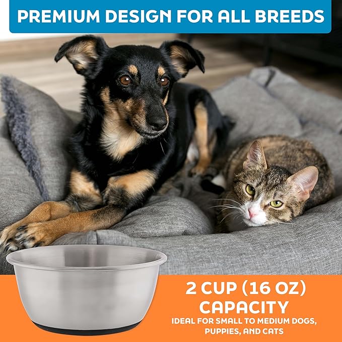 Master Pet Supply Stainless Steel Dog Bowls Set of 2 (16 Oz Each) with Non-Slip Rubber Base - Stainless Steel - Basic Dog Food Bowl Water & Food Bowls for Small Medium Large Dogs & Cats, Metal Dish