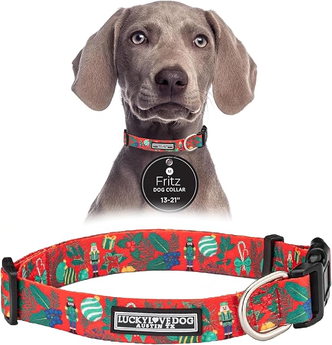 Lucky Love Dog - Adjustable Dog Collar with Easy Click Buckle for Medium, Durable, & Comfortable for Male & Female Dogs, Pet Collar for Puppies & Adult Dogs - Fritz, Medium
