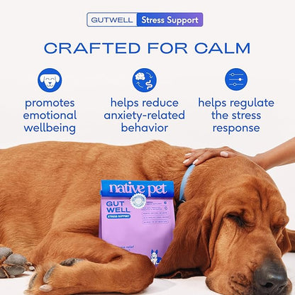Native Pet GutWell Stress Support - Dog Anxiety Relief & Calming Supplement - Promotes Emotional Wellbeing, Regulates Stress Response & Balances Gut-Brain Axis - Triple-Biotic & Magnesium -120 Scoops