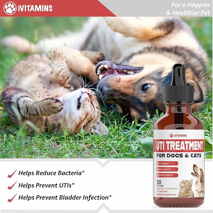 Cat & Dog UTI Treatment - UTI Medicine for Dogs - Cat UTI Treatment - Dog UTI Treatment - May Help with UTI's, Incontinence, Bladder Stones & More - 1 fl oz