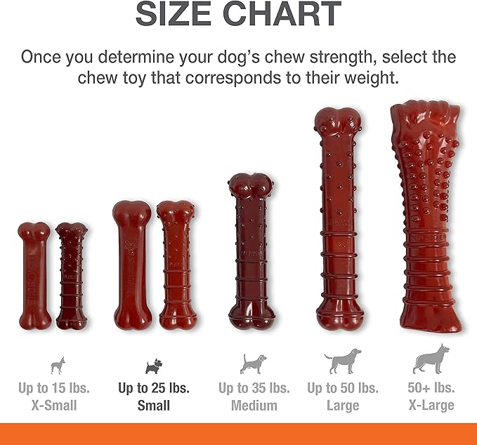 Nylabone Power Chew Basted Blast Dual Flavored Dog Chew Toys for Aggressive Chewers - Durable Dog Bones with 2 Layers of Flavor - Bacon and Steak Flavor, Small/Regular (2 Count) (Pack of 2)