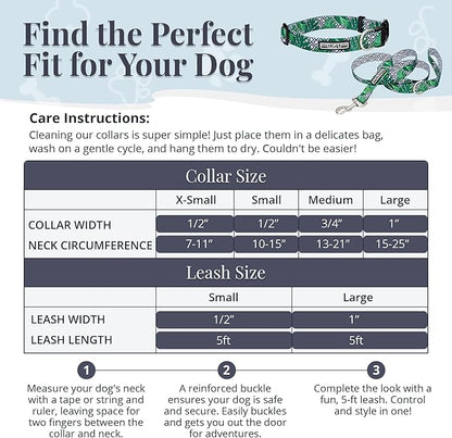 Lucky Love Dog Collar and Leash Set, Beautiful & Vivid Patterns, Easy On & Off Clasp Accessory (Blue Laguna, M Combo)