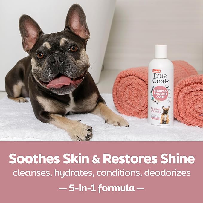 Hartz True Coat Short & Smooth Coat Dog Shampoo, 5 in 1 Soothes & Shines with Oat Milk, Coconut Oil & Vitamin E, 16 oz