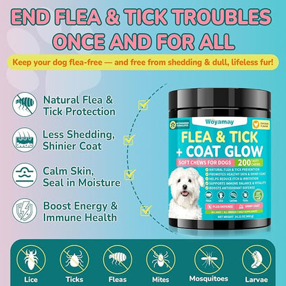 Woyamay Flea + Coat Glow Soft Chews, Natural Flea and Tick Prevention for Dogs, Dog Flea and Tick Treatment Chewable, Reduces Itch & Shedding with Fish Oil & Neem, Chicken Flavor