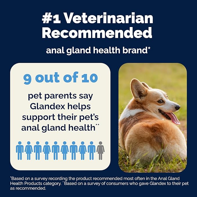 Vetnique Glandex Daily Probiotics for Dogs with Prebiotics to Support Gut Health, Diarrhea with Fiber and Digestive Enzymes, Dog Probiotic Powder (4.25oz Powder, Pork Powder)