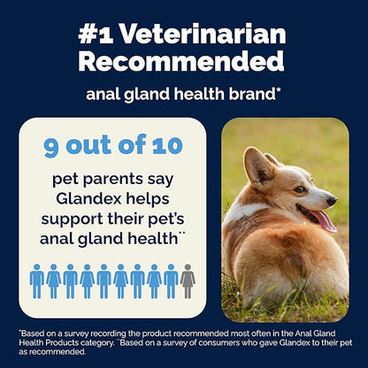 Vetnique Glandex Daily Probiotics for Dogs with Prebiotics to Support Gut Health, Diarrhea with Fiber and Digestive Enzymes, Dog Probiotic Powder (4.25oz Powder, Pork Powder)