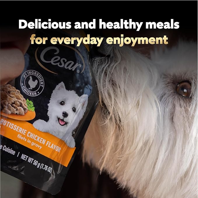 Cesar Filets in Gravy Wet Dog Food Filet Mignon Flavor and Rotisserie Chicken Flavor Variety Pack,Wet Food for Dogs,1.76 oz. Mini-Pouches,20 Count (Pack of 4)