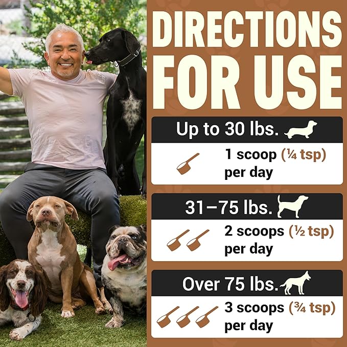 Better Dog Supplements Inner Purity by Cesar Millan – Natural Digestive, Dewormer & Gut Health Powder for Dogs – Internal Cleanliness, Detox & Bowel Movement Support – 3.4oz, (60-Day Supply)