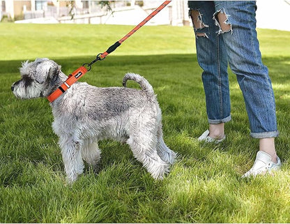 haapaw Martingale Dog Collar with Quick Release Buckle Reflective Dog Training Collars for Small Medium Large Dogs