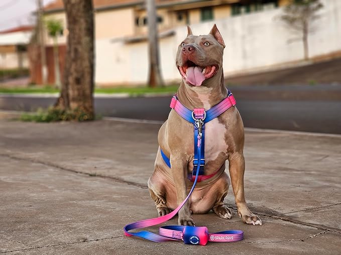 Spark Paws Premium Dog Leash & Poop Bag Set - Heavy-Duty Alloy Hook for Strong Pulling Breeds - Comfortable, Durable & Secure - Snow Cone
