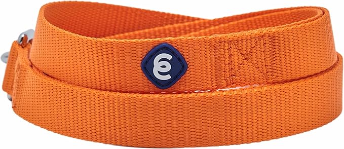Blueberry Pet Essentials Matching Dog Collar and Leash Set in Orange Vermilion, Adjustable Classic Solid Color Nylon Collar with 4 ft Leash for Large Dogs