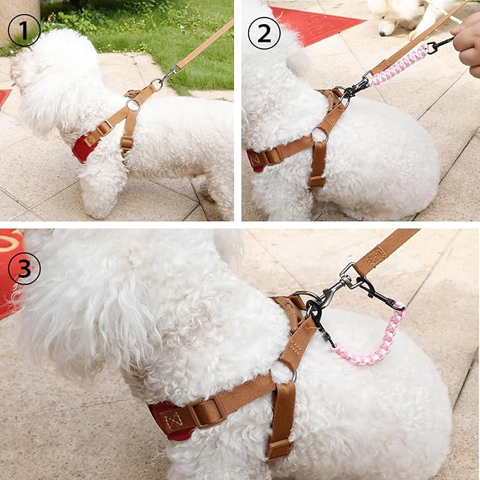 2 PCS Dog Collar Safety Clips, Backup Clip Connector, Prong Collar, Dual Clasps Rotating Buckle for Small and Medium Dogs (Pink)