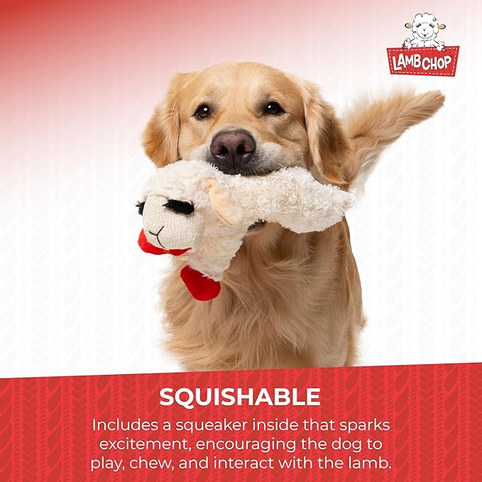 Multipet Lamb Chop Dog Plush Toy - Squeaky Toy for Small & Medium Dogs - Extra Soft Plush - Stuffed Animal for Cuddling & Playing (10", Cream, 5 Squeakers)