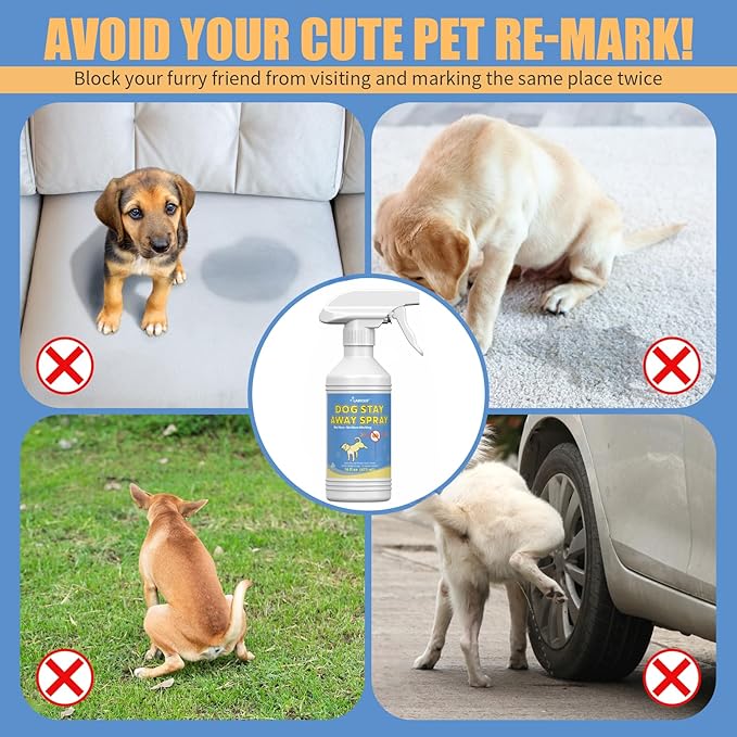 16 Fl Oz Help Dogs Stop Marking in Your Home, Promote Good Behavior in Dogs, Easy-to-Use Spray for Marking Habits, Safe Formula to Curb Unwanted Dog Urination Habits