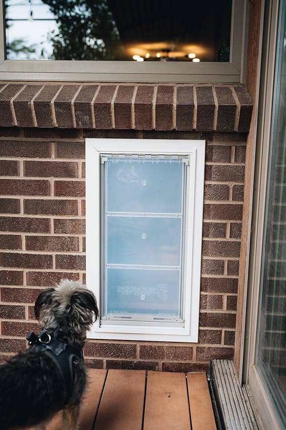 Endura Flap Pet Door for Walls in Black | Energy-Efficient Single Flap Design for Wall Installations | All-Weather Protection with All-Metal Telescoping Tunnel | Black, Small, Single Flap