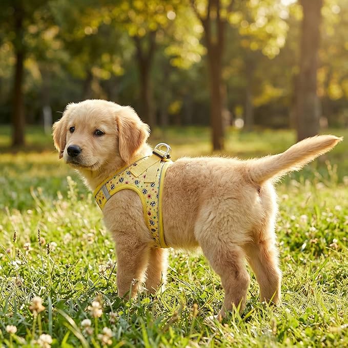 Mihqy Step in Dog Harness and Leash Set, Reflective Adjustable No Pull Dog Harness for Small Medium Dogs Puppy and Cats, Soft Padded Mesh Vest Harnesses for Girl and Boy Pets(Bee,L)