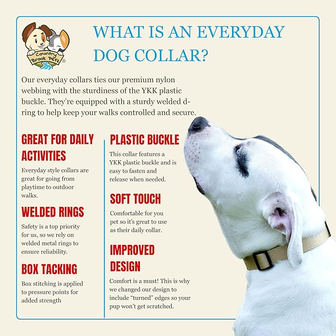Country Brook Petz - Everyday Nylon Dog Collar for Large, Medium, and Small Dogs and Puppies - for Everyday Use in 10+ Warm Colors (3XS, 3/8 Inch Wide, Copper Gold)