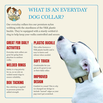 Country Brook Petz - Everyday Nylon Dog Collar for Large, Medium, and Small Dogs and Puppies - for Everyday Use in 10+ Warm Colors (3XS, 3/8 Inch Wide, Copper Gold)