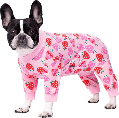 Surgery Recovery Suit for Small Dogs, Onesie for Surgery Female Dogs, Small Dogs Pajamas Long Sleeve, Abdominal Wound Bandages Surgical Suit, Dog Cat Recovery Suit for Shedding Skin Disease